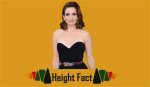 Unveiling Tina Fey's Height: Discoveries and Insights