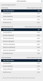 Usaa Bank Savings Account Rates Review 2024