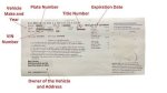 Your Guide to Vehicle Registration and Beyond!
